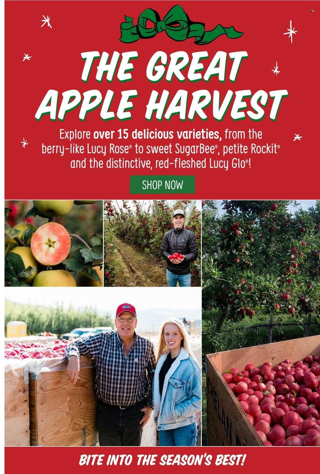 Sprouts Farmers Market Current Sales Weekly Ads Online