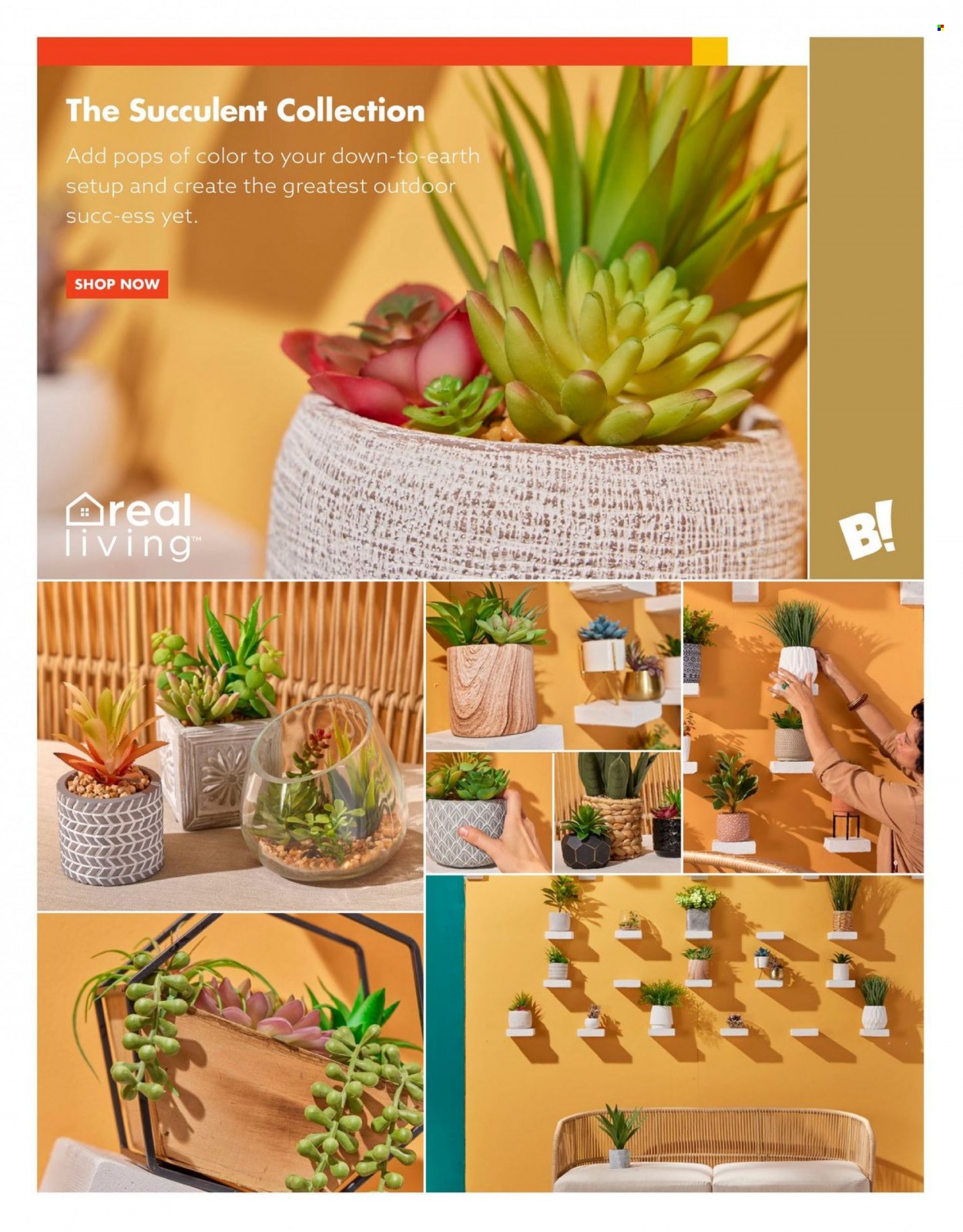Big Lots Outdoor Catalog 2023 - Page 37