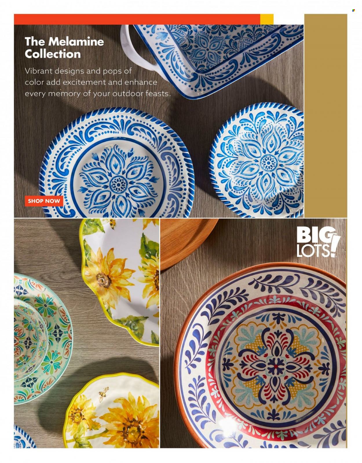 Big Lots Outdoor Catalog 2023 - Page 38