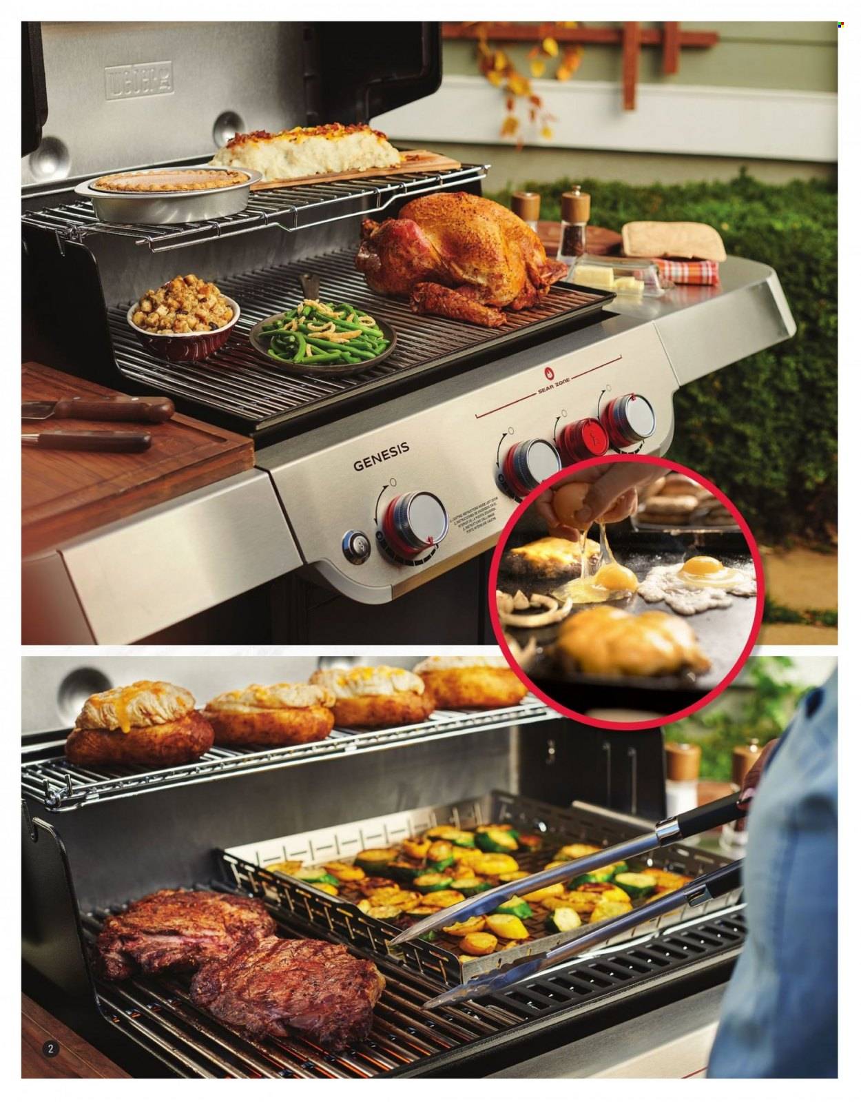 Ace Hardware Grilling Catalog 2023 - Page 2