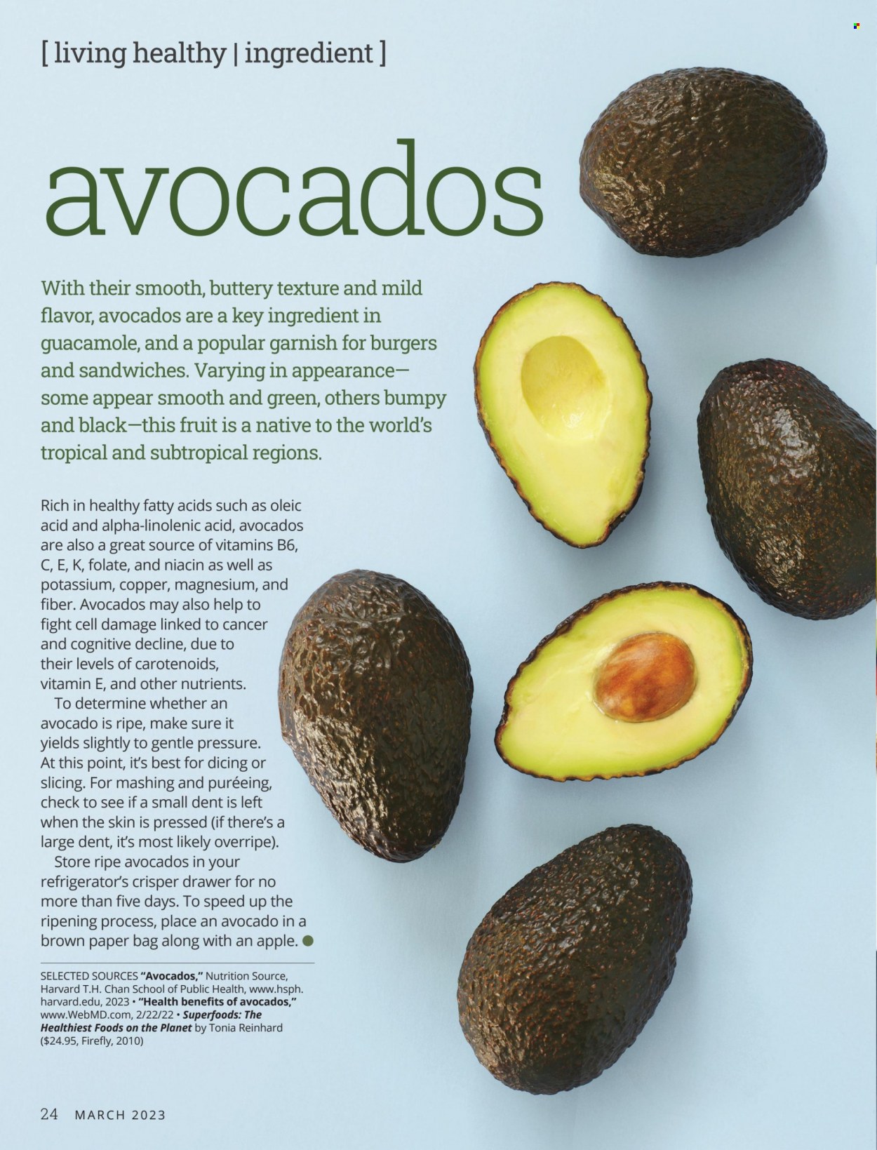 Festival Foods Natural and Organic Living - March 2023 - Page 24