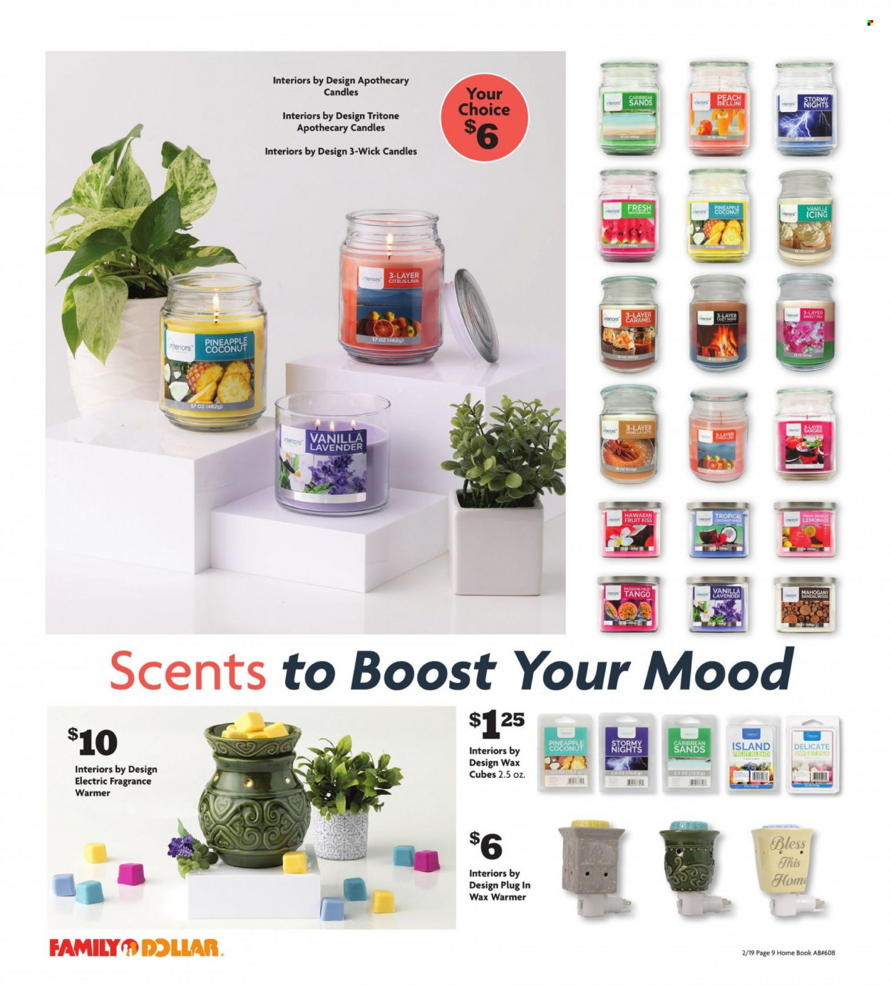 Family Dollar Home Boook - Page 9