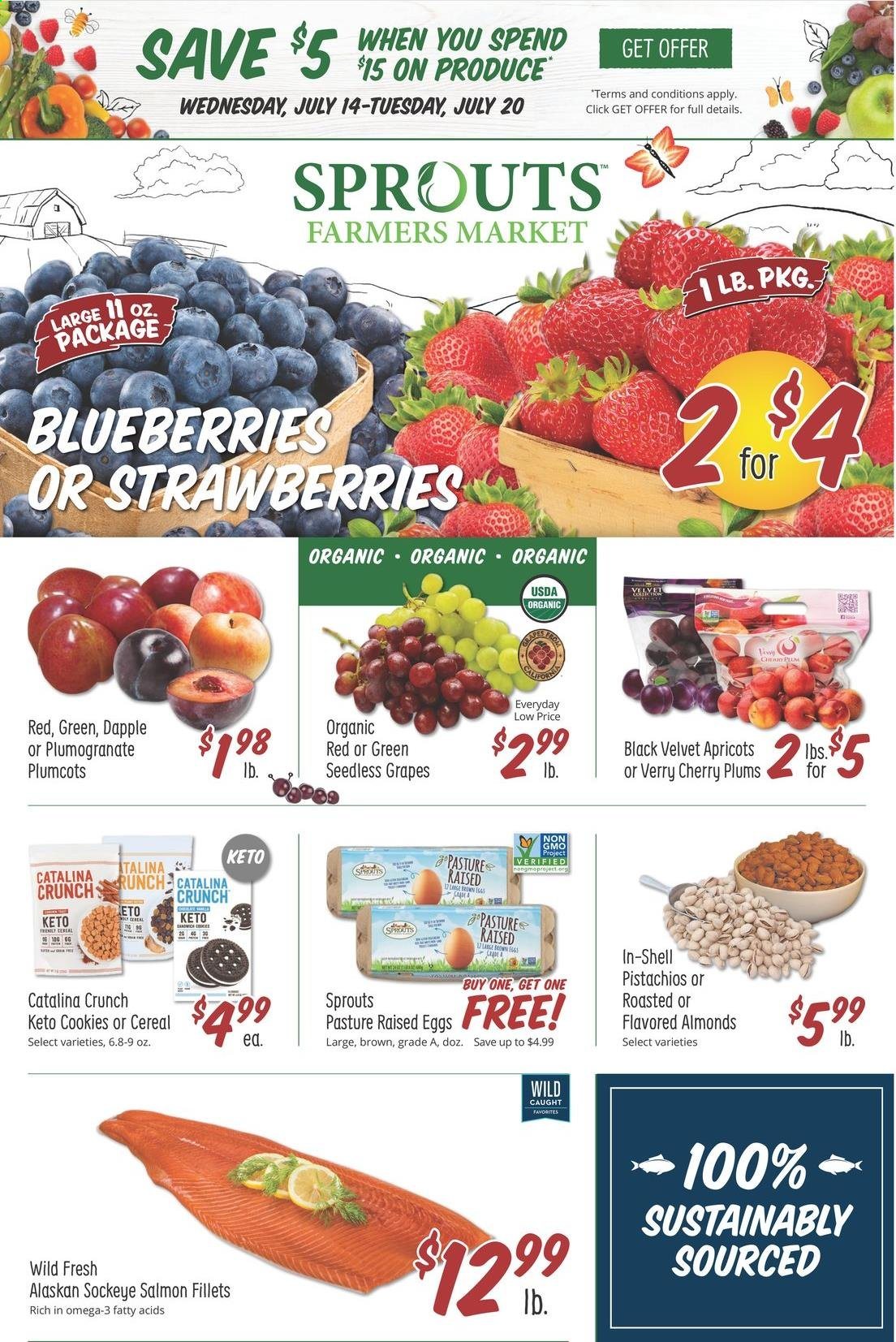 Sprouts Farmers Market Current Sales Weekly Ads Online
