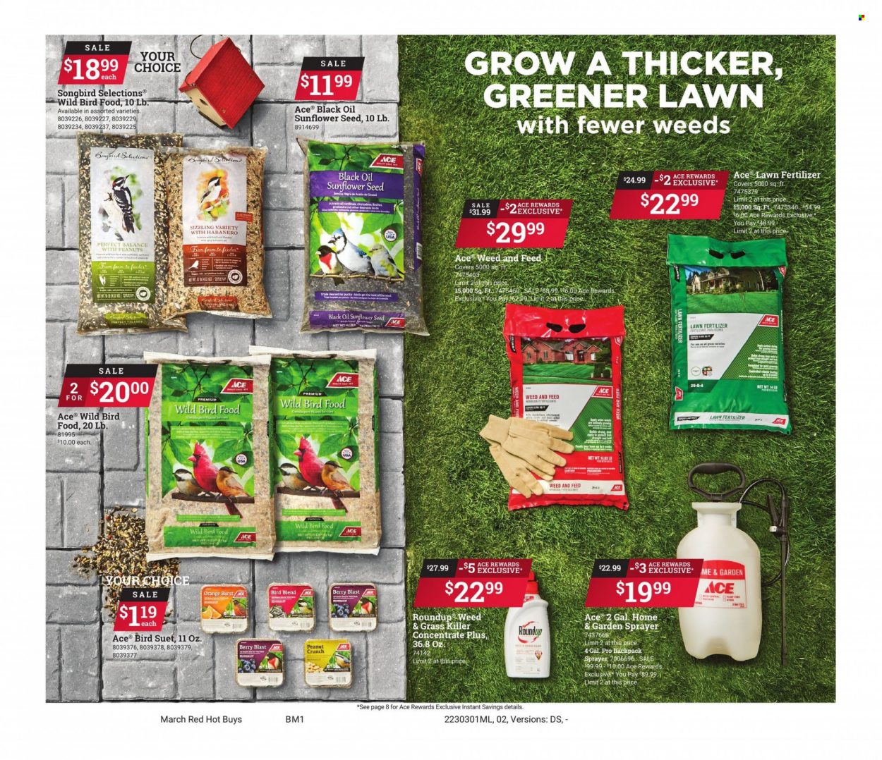 Ace Hardware Ad - Page 2
