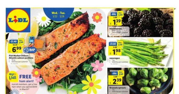 Lidl current Flyer online