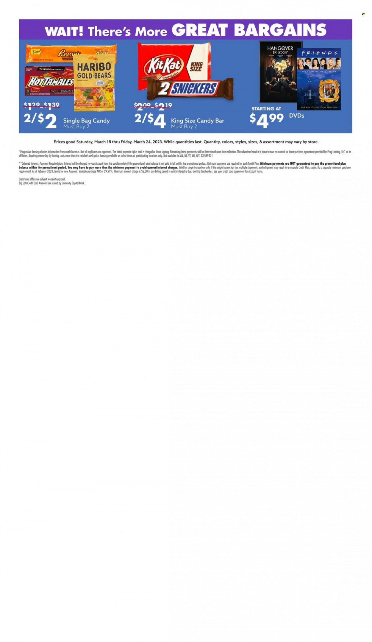 Big Lots Ad - Page 11