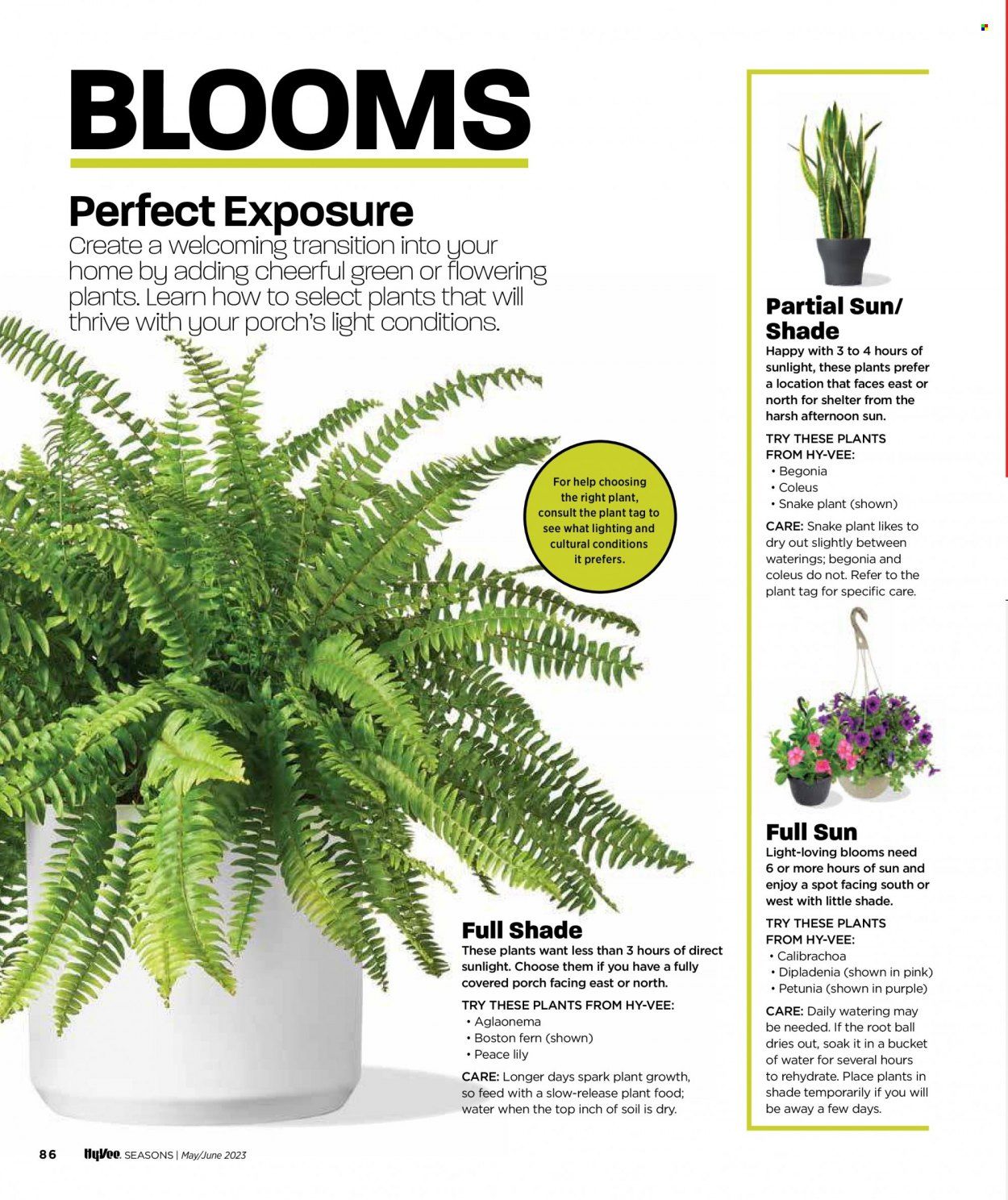 Hy-Vee Seasons Magazine - May/June2023 - Page 89