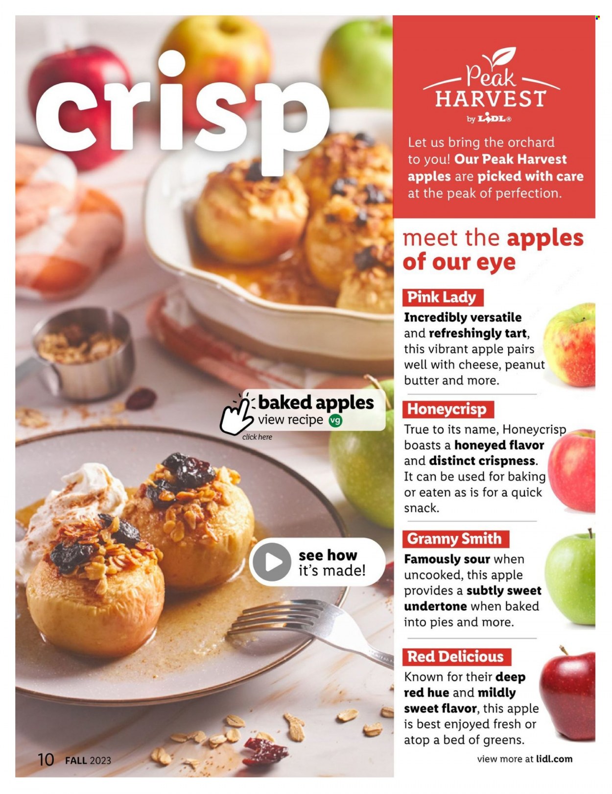 Lidl Fall + Halloween Magazine - Page 10