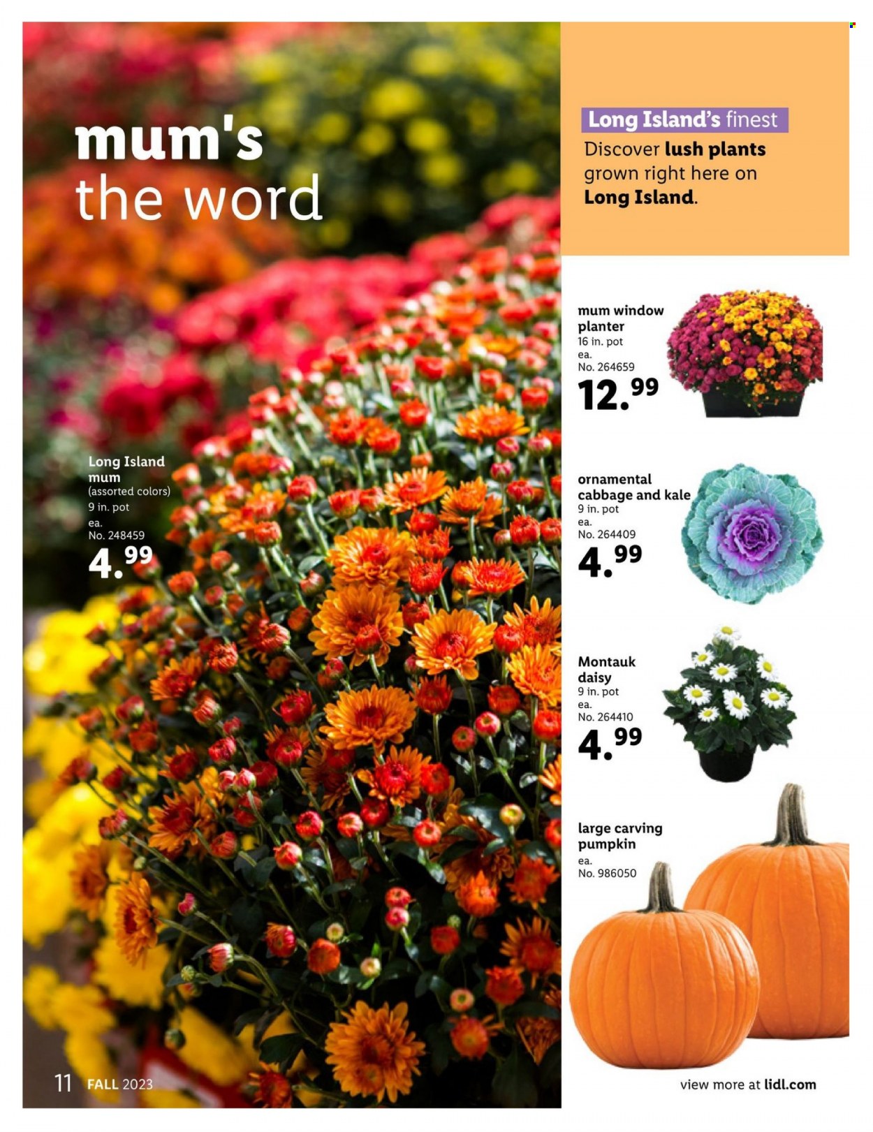 Lidl Fall + Halloween Magazine - Page 11