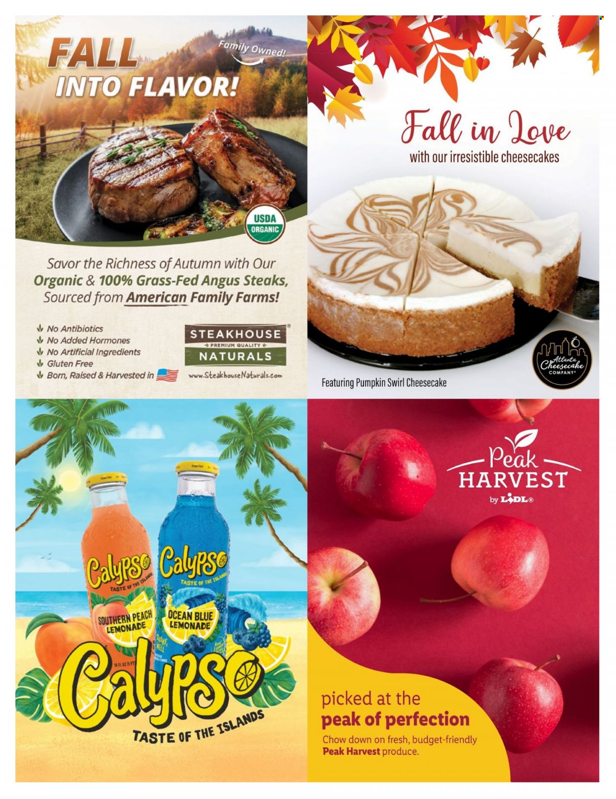 Lidl Fall + Halloween Magazine - Page 23