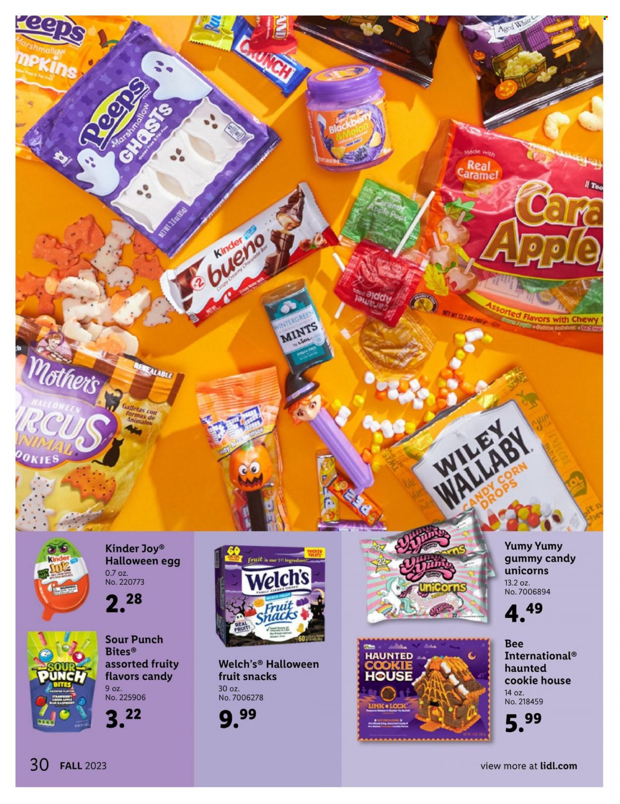 Lidl Fall + Halloween Magazine - Page 30